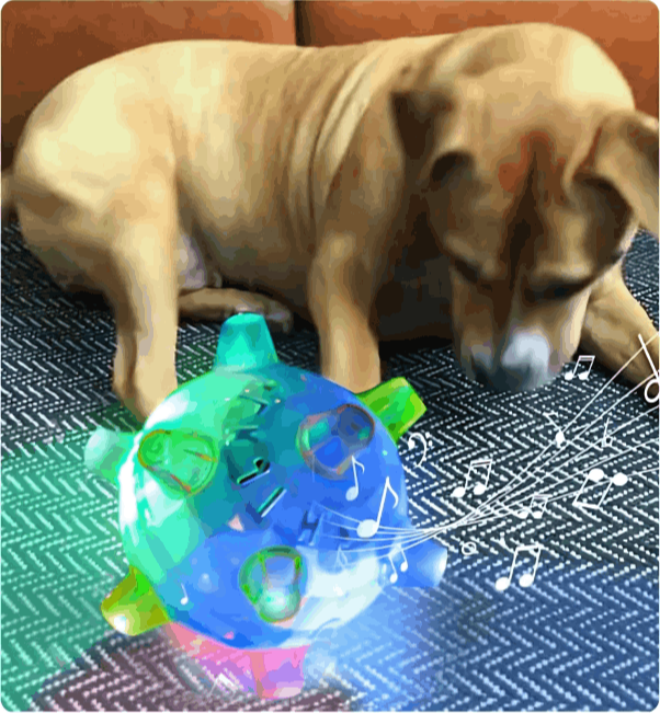 How to use PetsBoro Pet Ball