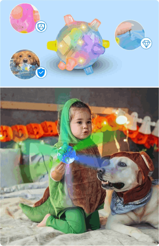 What is PetsBoro Pet Ball