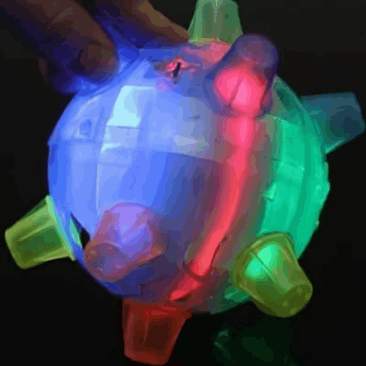 PetsBoro Pet Ball customer review Steve A.